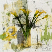 9th Place - Overall Category - Linda Austin - "22"