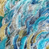 Ellison (1) Img #2 Flights of Fancy