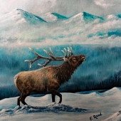 Reed (1) Img #2 Powder Mountain