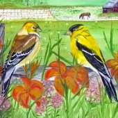 Spagnuolo (1) Img #2 Golden Encounter