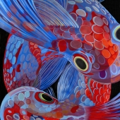 1st Place - Painting - Lane-C (1) Img #5 Koi