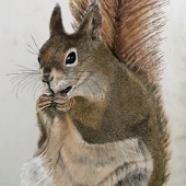 HM - Painting - Paulson (1) Img #4 The Nut Collector