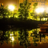 Boze (1) Img #1 Liberty State Park 1