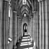 Foster (2) Img #1 Gothic Hall