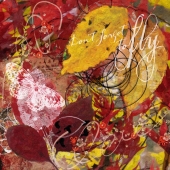 Rainey (1) Img #1 Don't Forget to Fly