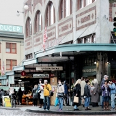 Schnepf (1) Img #3 The Market