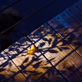 Thompson-Co - (2) Img #2 Im Falling