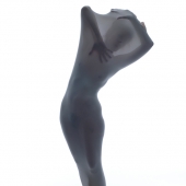 5th Place - Photo - Davis (1) Img #2 Shroud-71