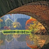 HM - Photo - Heller (1) Img #5 Under the Bridge