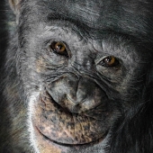 HM - Photo - Montgomery (2) Img #1 A Little Smile