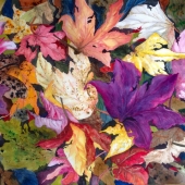 Boltong (1) Img #1 Aura of Autumn