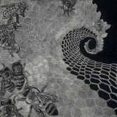 Merkt (1) Img #1 Vanishing