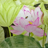 Richbow (1) Img #1 Hiding