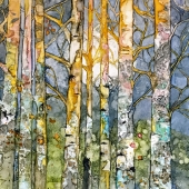 Shelby (1) Img #5 Birch Sunrise