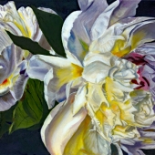 Slade (1) Img #1 Breath of Angels