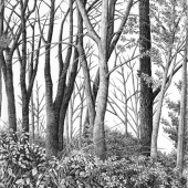 Topjian Searle (1) Img #1 Beyond Reach