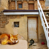 Williams-LO (1) Img #3 Slacking Off