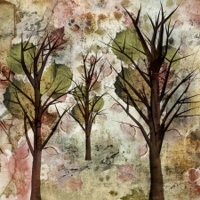 E - 3rd Place - Photography - Mierau-Klein (1) Img #4  Grungy Fall