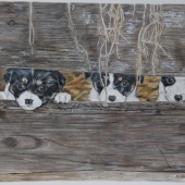 Kathy Christian – “The Peanut Gallery” –  www.kchristianart.com