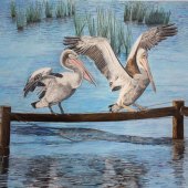 Kathy Christian – “Pelican Post” –  www.kchristianart.com