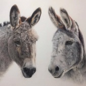 Bonny Snowdon – “Friends” –  www.bonnysnowdonfineart.co.uk