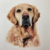 Bonny Snowdon – “Meg” –  www.bonnysnowdonfineart.co.uk