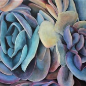 Tara Esperanza – “Echeveria” –  www.taraesperanza.com