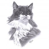 Helen Brown-Campbell – “Sefton” –  www.artbyhelenbc.co.uk