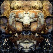 Dorian Melton - "Rock Face (B 1232)” –  www.melton.cace-B-1232”