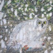 Amanda Muran - "Owl and Duck” –   am9991@live.com