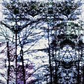 Simma Liebman - "Frottis Paraffine 40, Trees” –  www.simmaliebman.com