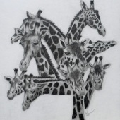 Kristi Richter – “Conference” –  keddywumpus@yahoo.com