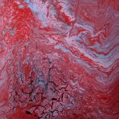 Sue Smith – “Lake Eyre Floods 2019” –  www.assp.suesmithphotography.com.au