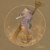 Claire Menegatti - "Violet and Gold” –  www.studiogattila.com