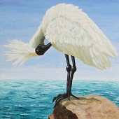 Carol Schmauder - "Whatcha Lookin' For” –  www.carolschmauder.com