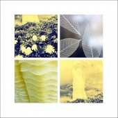 Sylvia Bandyke - "The Dream Dress” –   www.facebook.com/bandykephotocollage