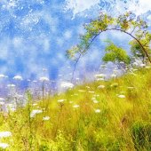 Linda H.Y. Hegland – “Beside the River on Kayak Day” –  www.seekingsoulsphotography.com