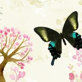 Roxana Ferllini – “Japanese Blooms 3” –  www.roxanaferllini.com