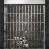 Sheri Emerson – “Children in Cages” –  www.sheriemerson.com