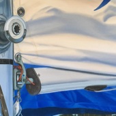 13th Place – Debbie Daniels – “Gooseneck” –  www.debbiedanielsart.com