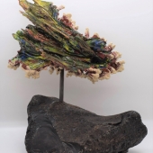 Hon. Mention – Tom Krempa - “Cauliflower Fire Coral” - www.tomkrempa.com