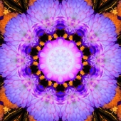 Cynthia M. Christopher - "External Golden Dream” – cynthiacin123@gmail.com