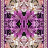 Dick and Rosanne - "Astromeria Dreams” – http://www.dickandrosanne.com/