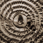 HM - 3D Art - Van der Sman (1) Img #1 Hokusai Waves and Fibonacci's Shell