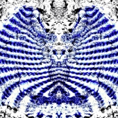 Arber (1) Img #5 Blue Devilish Angel