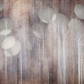 Ravnik (1) Img #3 Orbs