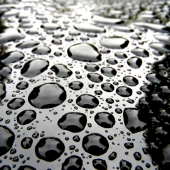 Doris (1) Img #2 Monte Carlo SS