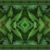 Arnowitz-Rosanne and Hoeft-Dick (1) Img #5 Fern Fantasia