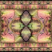 Arnowitz-Rosanne and Hoeft-Dick (1) Img #4  Rainbow Water Lily Pads