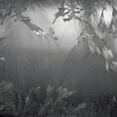 Glorney (1) Img #1  Frost on Car Window